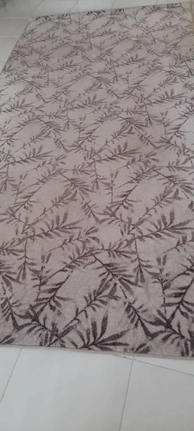 موکت و گلیم|موکت|کرمانشاه, |دیوار