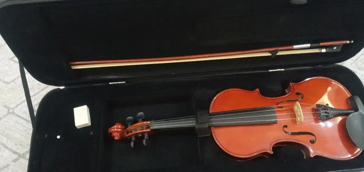 ویلون باخ آک|ویولن|مشهد, سپاد|دیوار