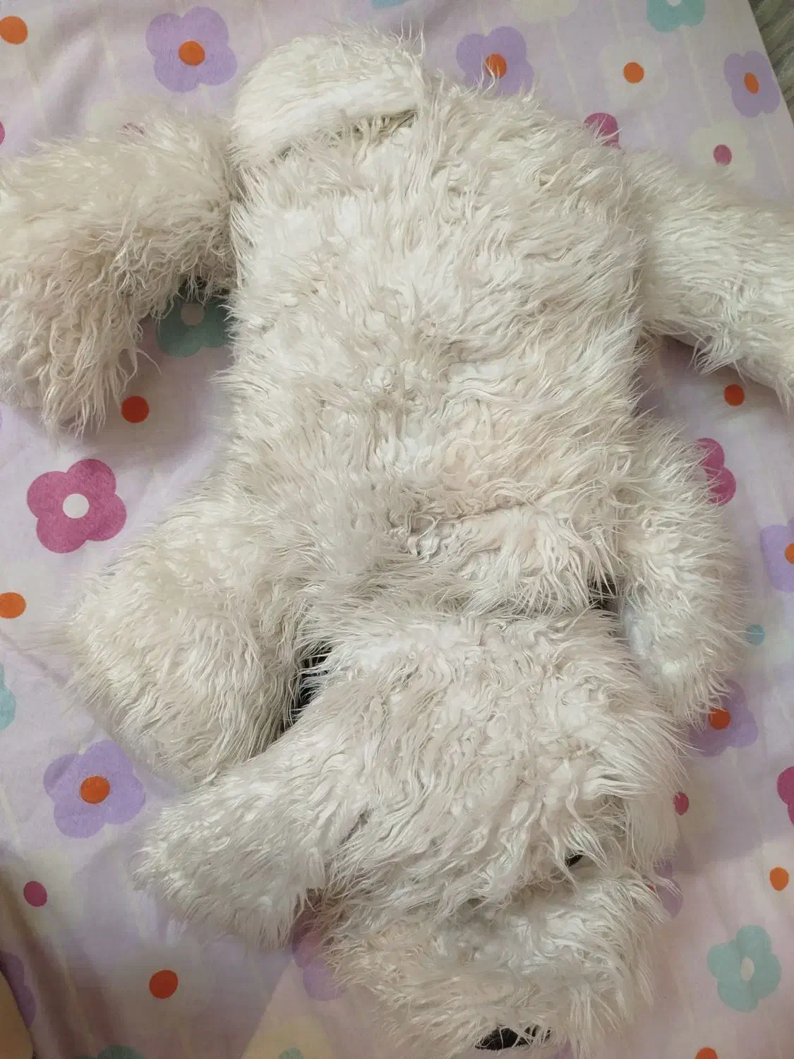 عروسک خرس|اسباببازی بچه|قزوین, |دیوار