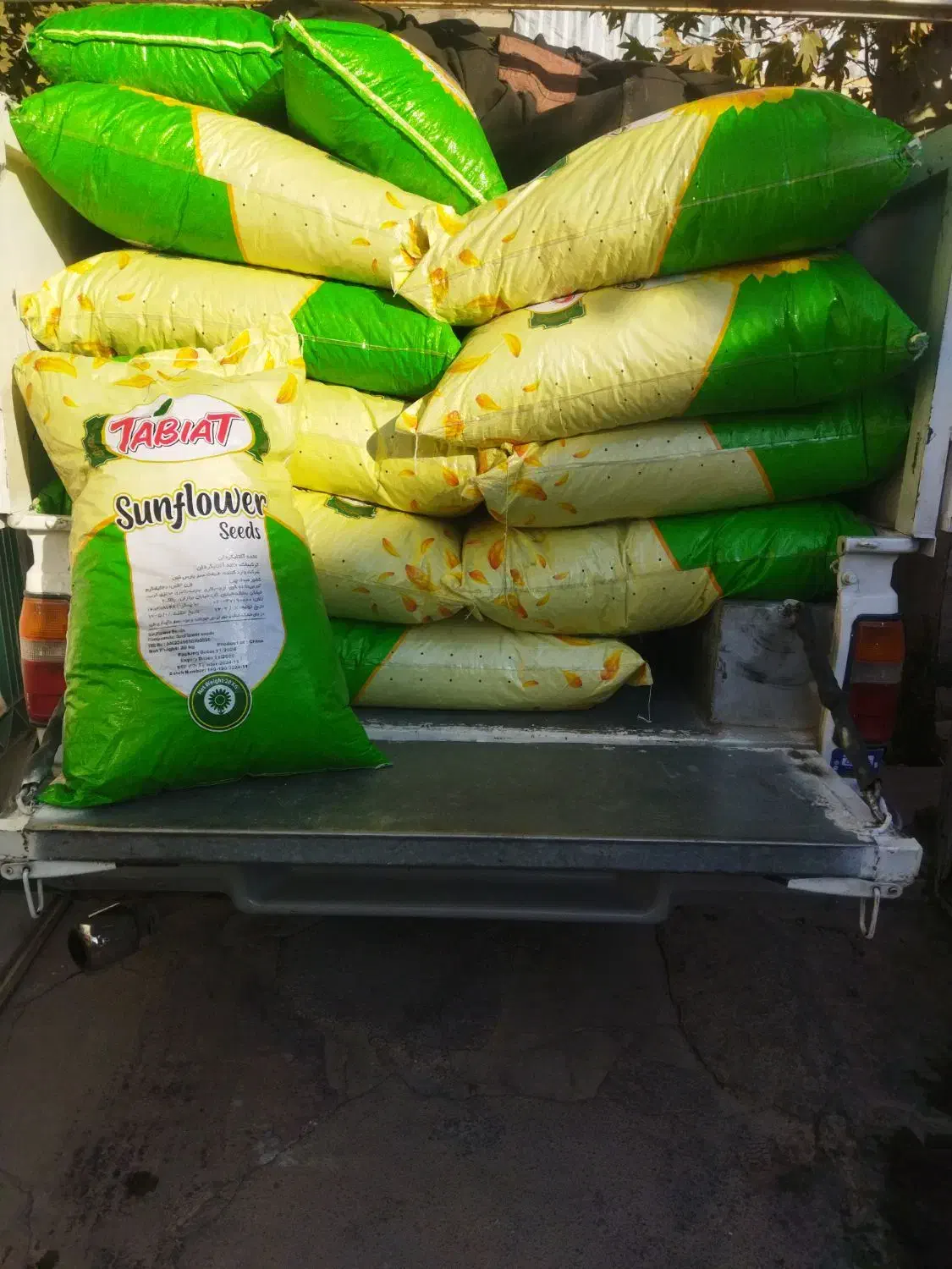 تخمه|خوردنی و آشامیدنی|کوهدشت, |دیوار