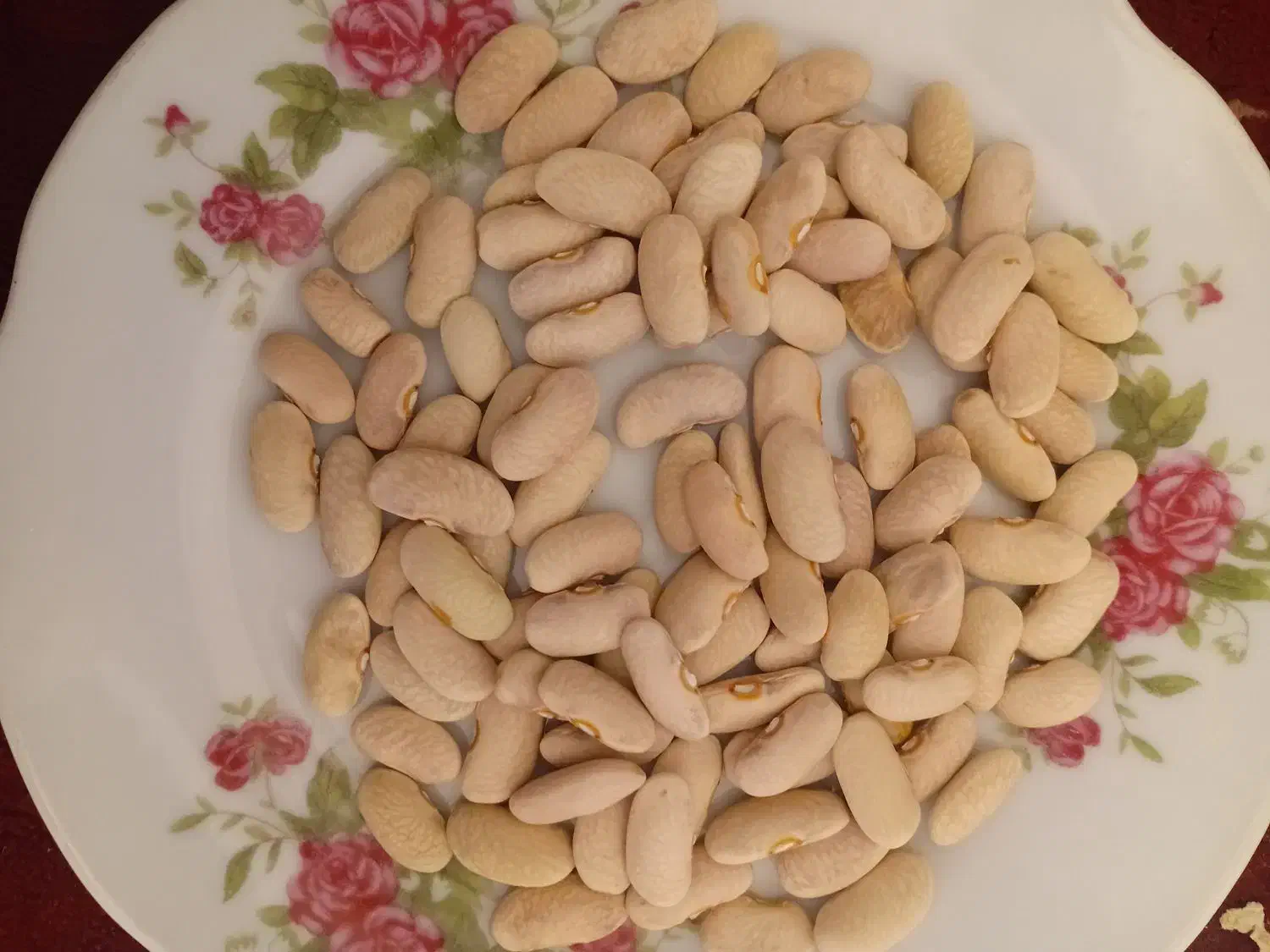 لوبیا|خوردنی و آشامیدنی|اسفرورین, |دیوار