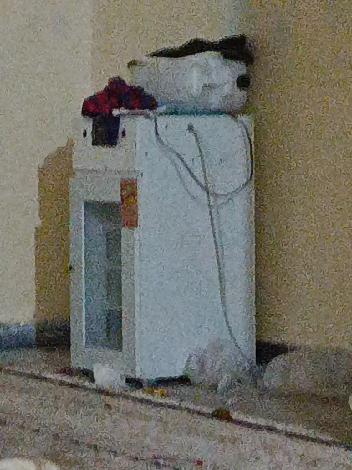 دستگاه جوجه کشی|لوازم جانبی حیوانات|ایذه, |دیوار