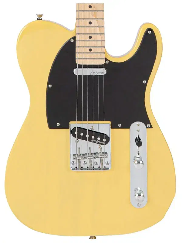 vintage V20 Maple Coaster Series Butterscotch|گیتار، بیس، امپلیفایر|قزوین, |دیوار