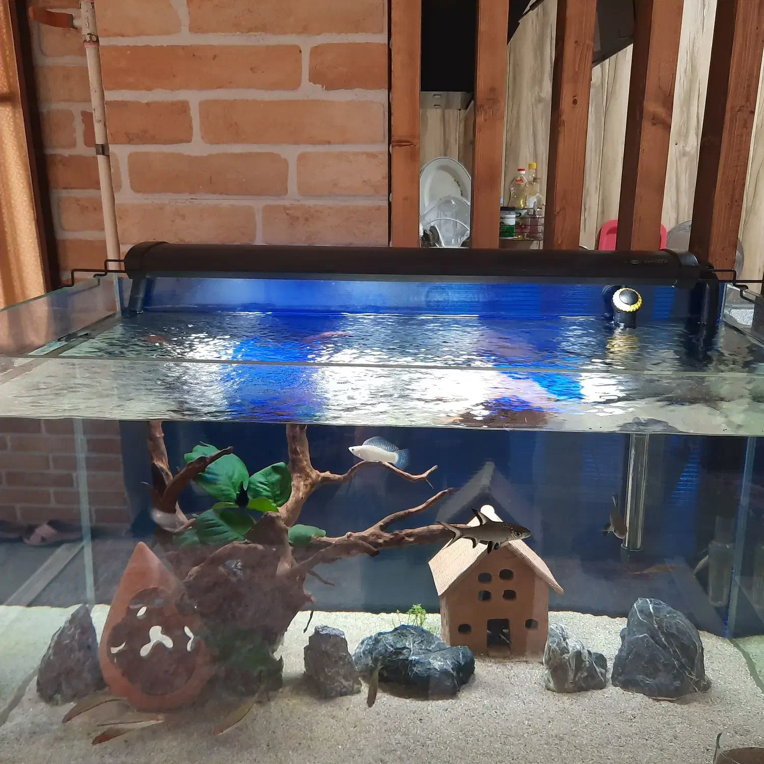 چراغ حرفه ای آکواریوم اودیسه ۸۰ تا ۹۰|ماهی|بندر ماهشهر, |دیوار