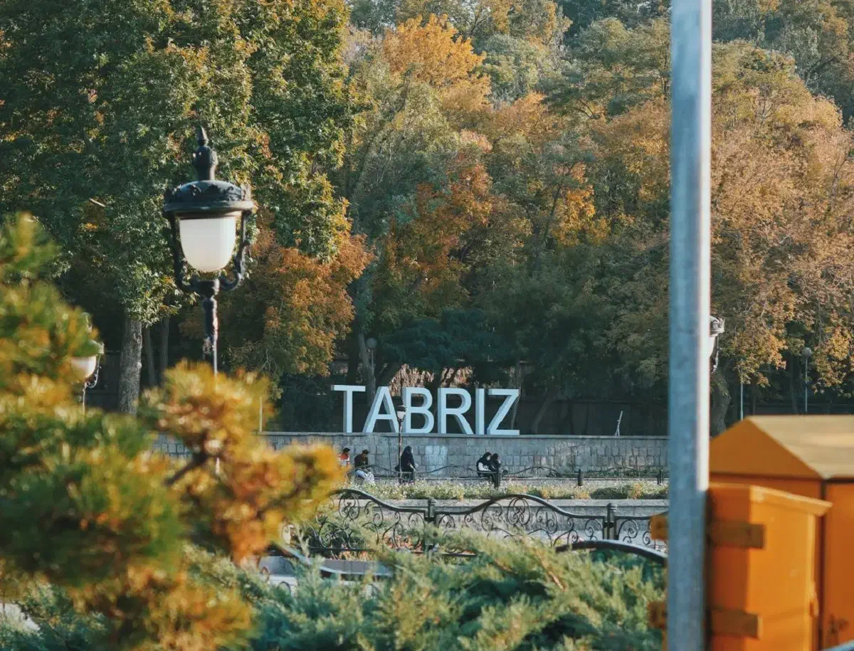 داوطلبانه هستم خدمتتون|فعالیت داوطلبانه تحقیقاتی|تبریز, |دیوار