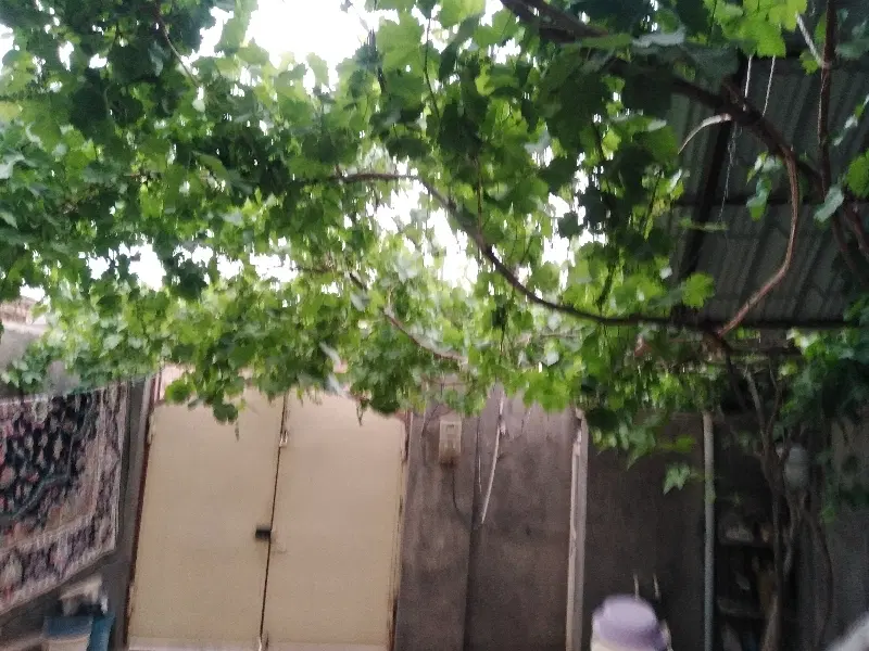 تصویر 2