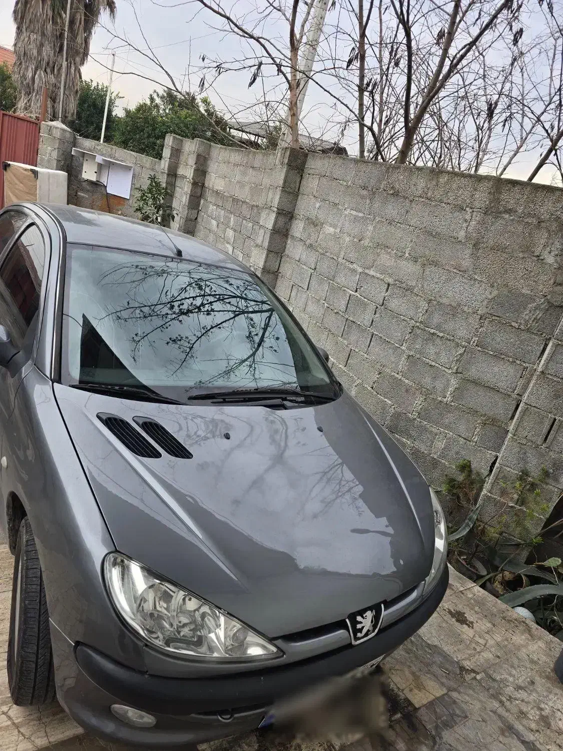 ۲۰۶ مدل ۸۴|خودرو سواری و وانت|خرم‌آباد (تنکابن), |دیوار