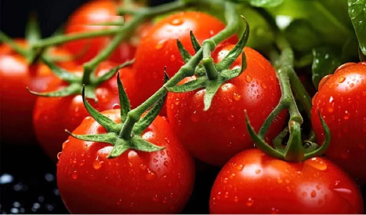 انگور عسگری و گوجه|خوردنی و آشامیدنی|قم, قلعه کامکار|دیوار