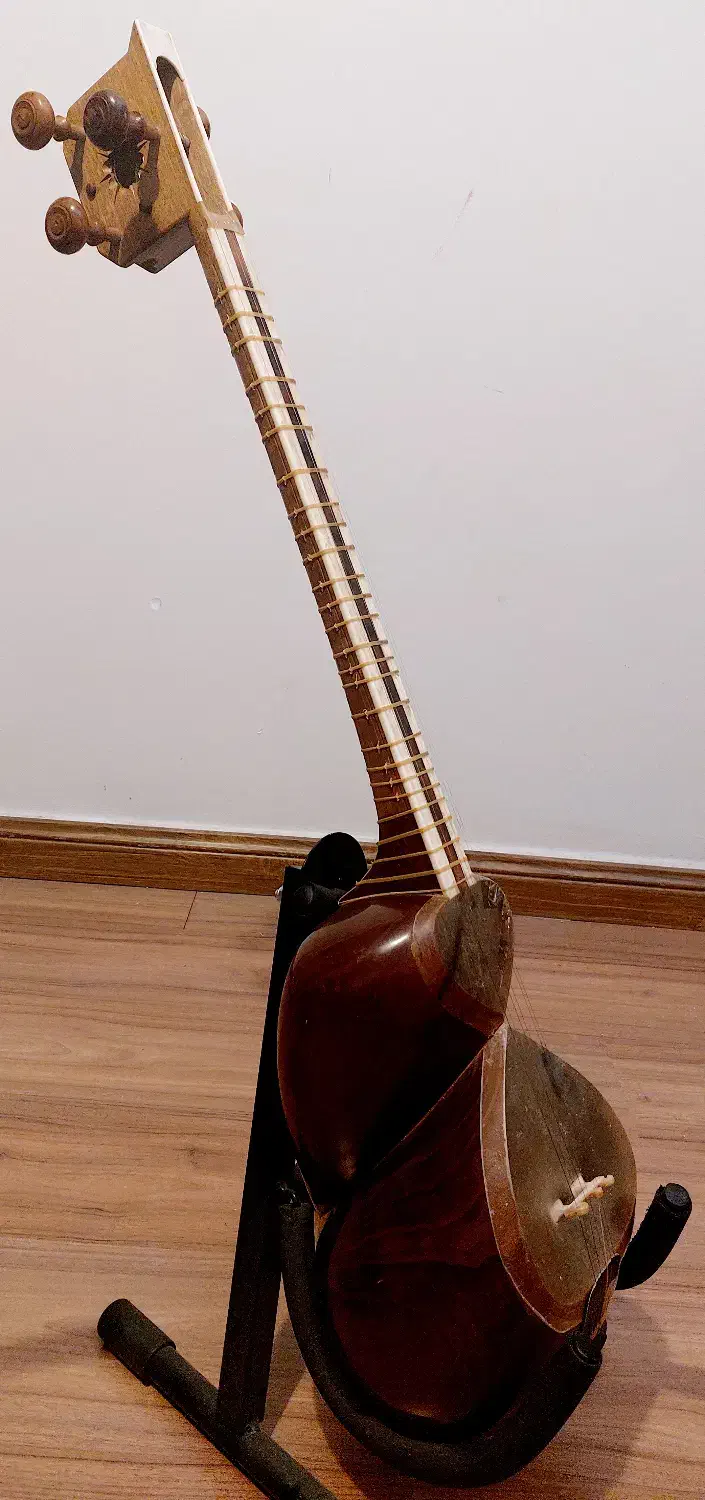 تار داوود علیاری|سازهای سنتی|تهران, پونک|دیوار