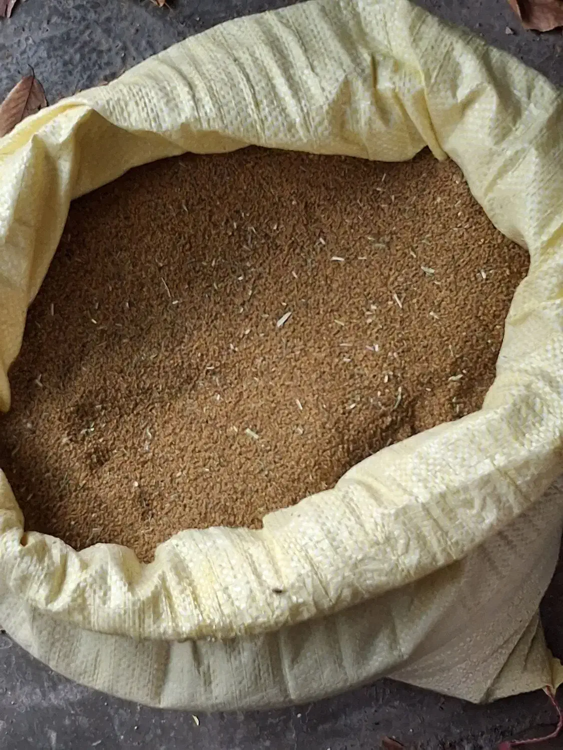 تخم یونجه|خدمات باغبانی و درختکاری|مرند, |دیوار