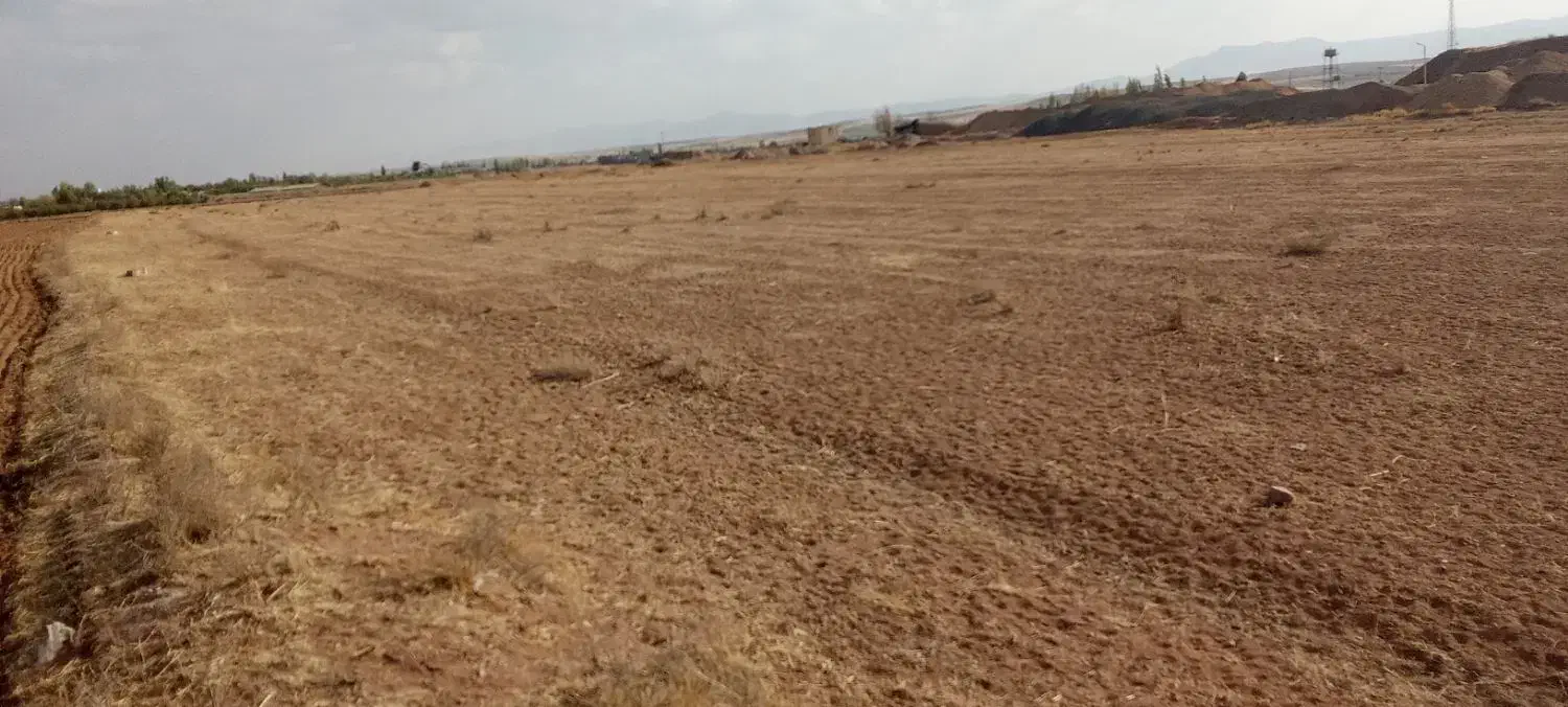 بناب‌کشاورزی‌زمین|فروش زمین و ملک کلنگی|زنجان, |دیوار