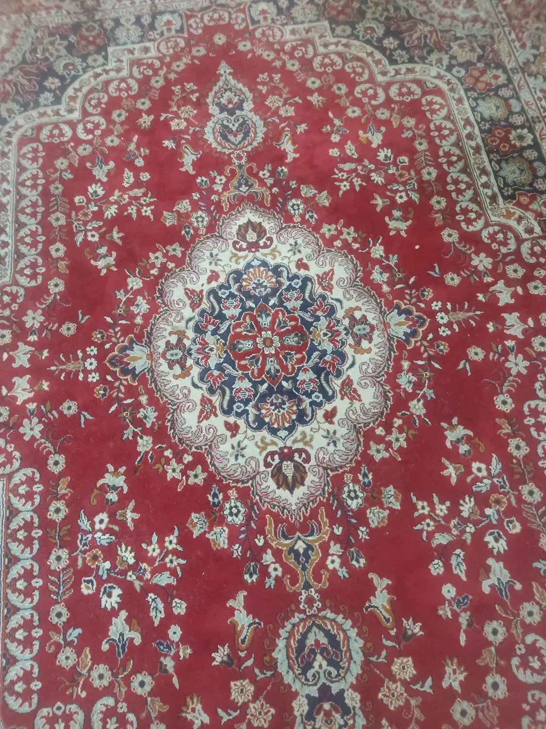 فرش گل قرمز|فرش|مشهد, شهید علی محمدی|دیوار