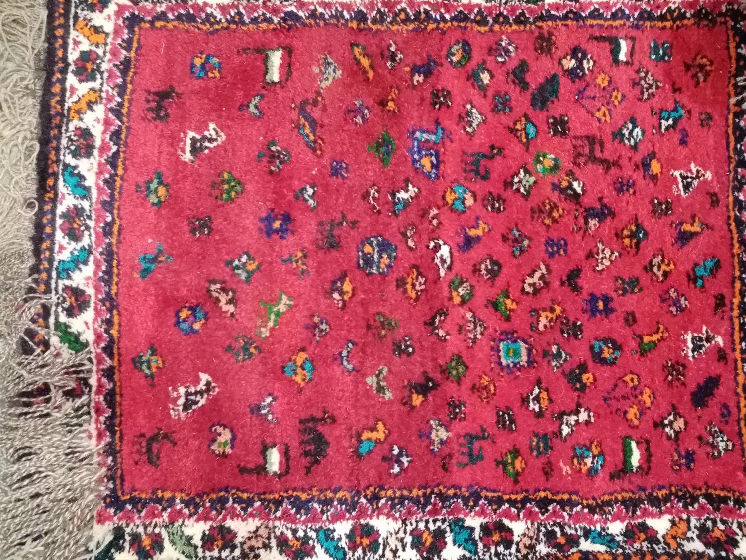 فرش دست بافت|فرش|شیراز, سلطان آباد|دیوار