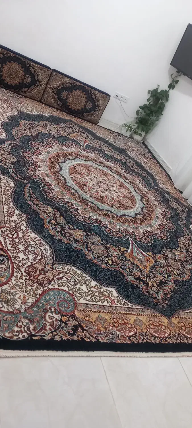 دو عدد فرش 12متری به همراه 2جفت پشتی|فرش|سبزوار, صالح آباد|دیوار