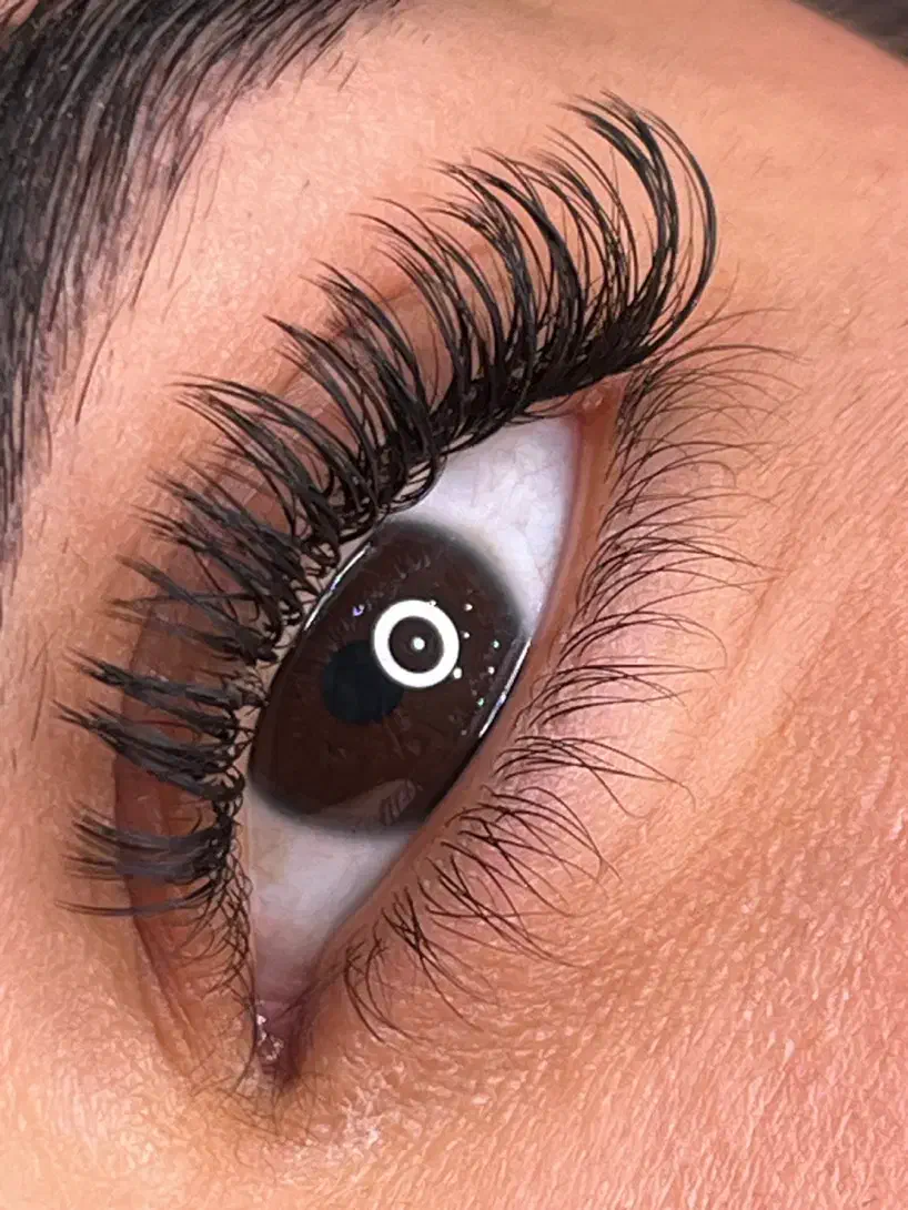 اکستنشن مژه، لیفت و لمینیت مژه و ابرو|خدمات آرایشگری و زیبایی|تهران, تهرانپارس جنوبی|دیوار