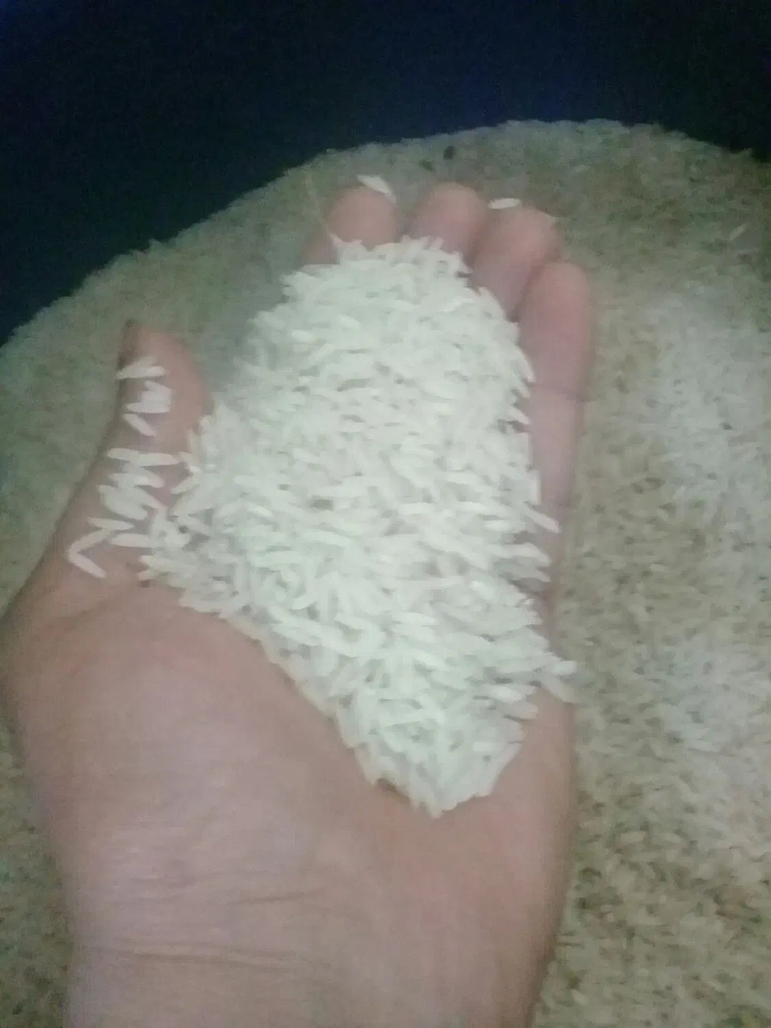 فروش برنج هاشمی|خوردنی و آشامیدنی|رشت, چمارسرا|دیوار