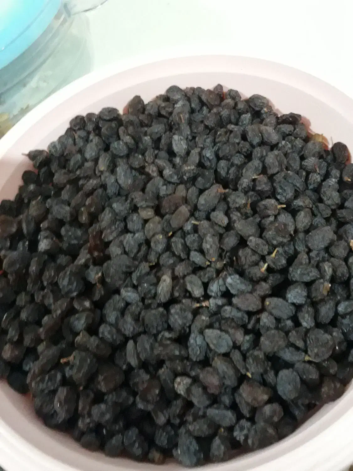 فروش کشمش افتابی|خوردنی و آشامیدنی|مراغه, |دیوار