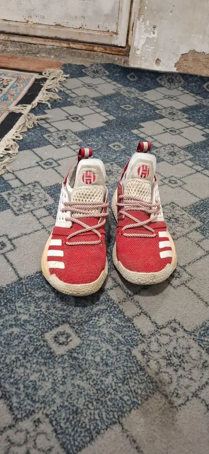 کفش تمیز خارجی|کیف، کفش، کمربند|مشهد, شهید معقول|دیوار