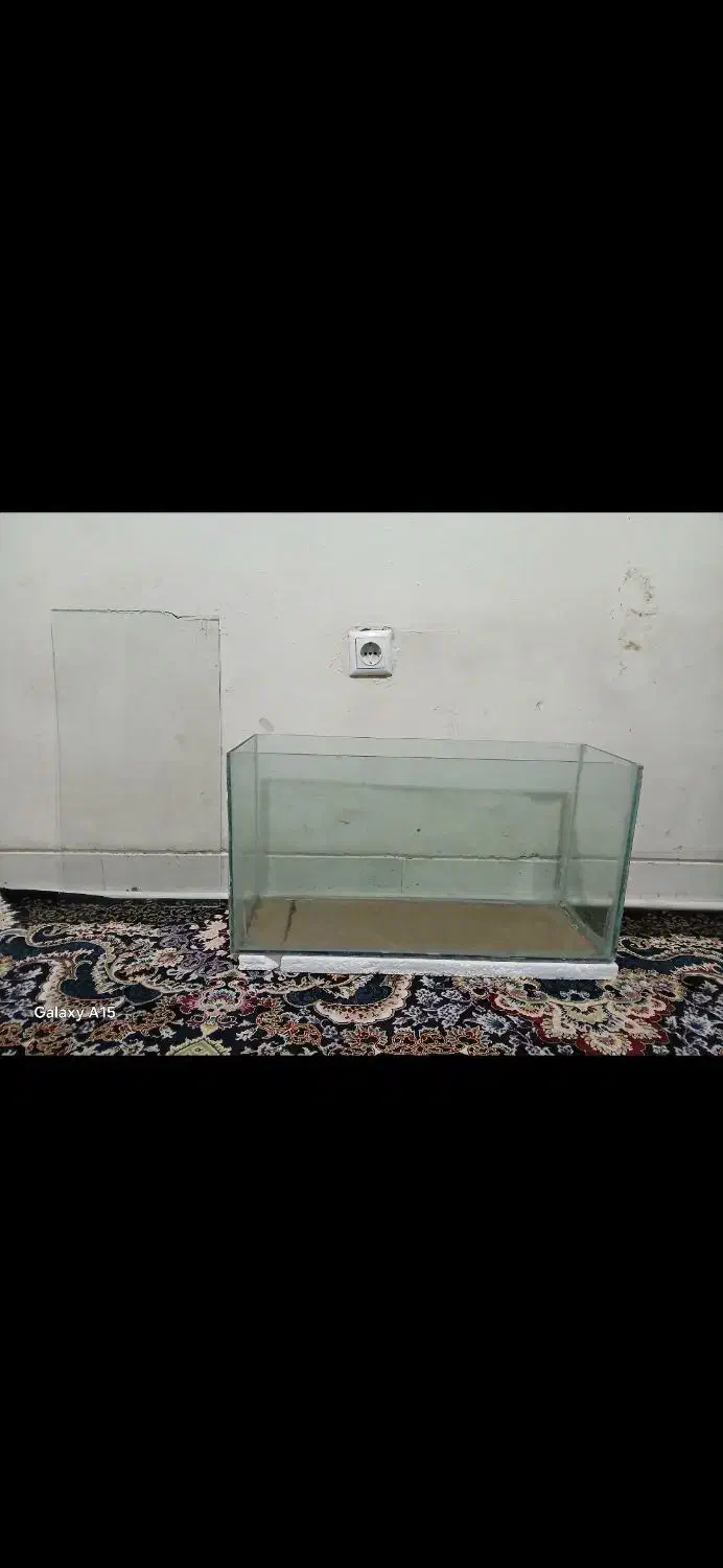 اکواریوم و ماهی گوپی|ماهی|زاهدان, |دیوار