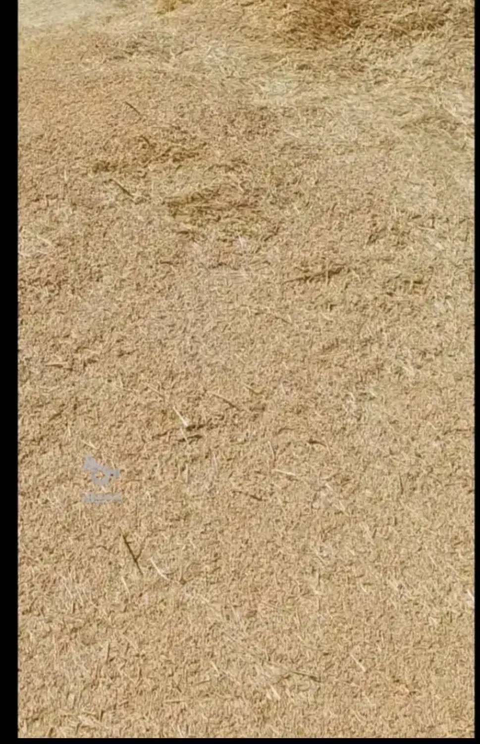 فروش کاه گندم دیم|لوازم جانبی حیوانات|کبودرآهنگ, |دیوار