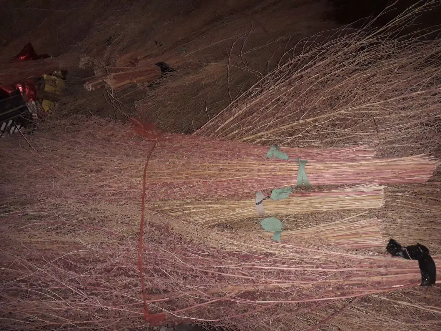 جارو|لوازم نظافت|کنگاور, |دیوار