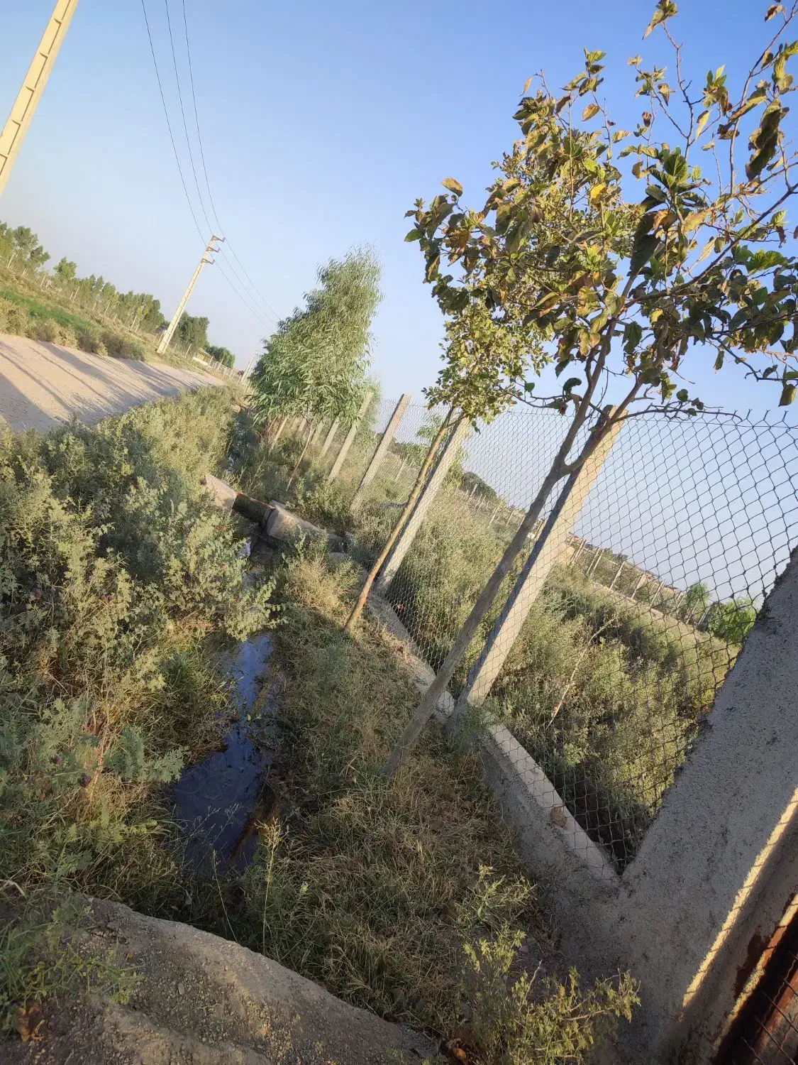 زمین باغ باغچه ویلا کشاورزی فنس شده|فروش زمین و ملک کلنگی|ورامین, ورامین|دیوار