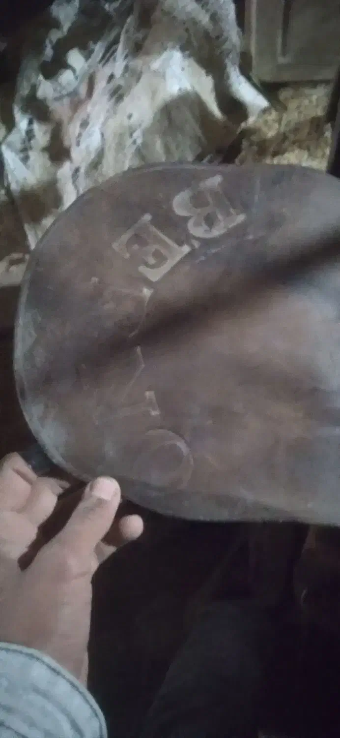 زین اسب|اسب و تجهیزات اسبسواری|اردکان, |دیوار