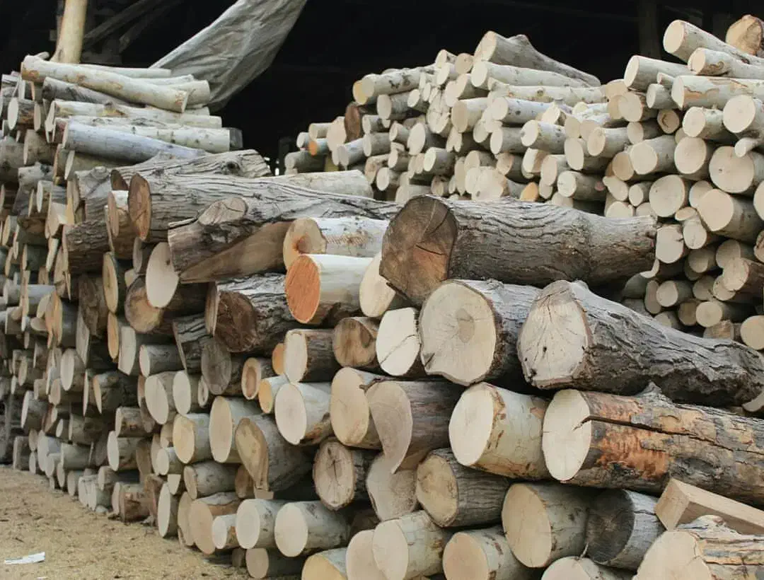 هیزم خشک|عمده‌فروشی|شهریار, شهرک امیریه|دیوار