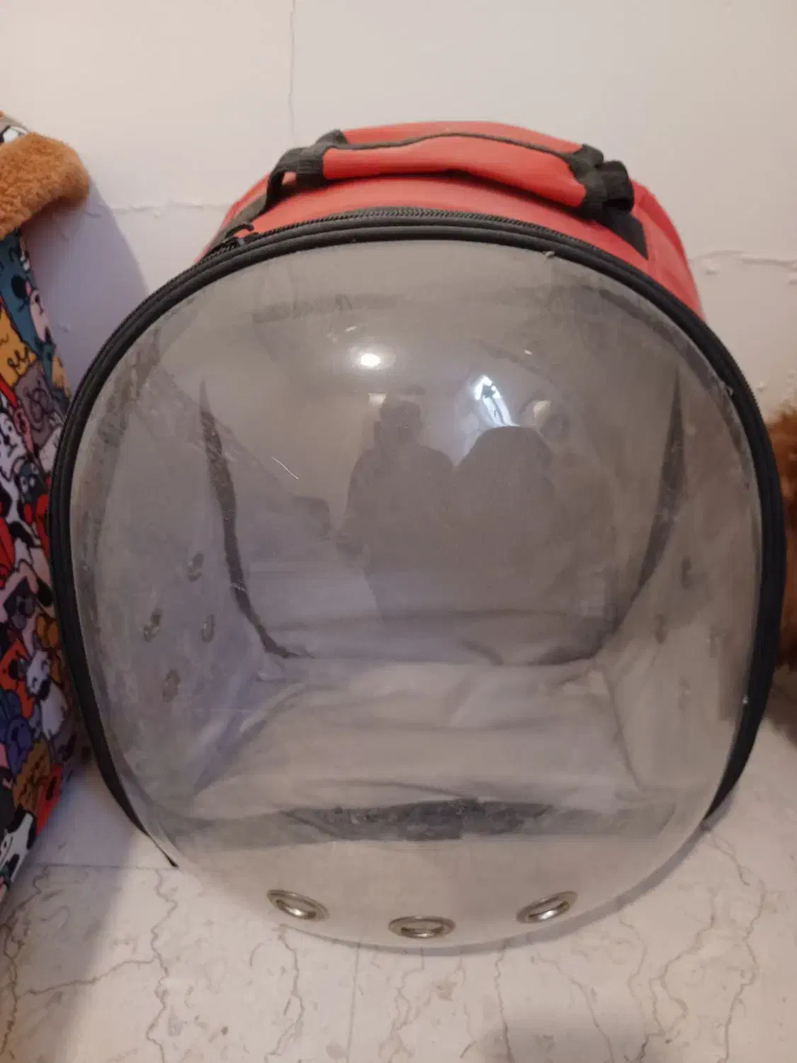 کیف و باکس حمل سگ|لوازم جانبی حیوانات|تهران, سهروردی|دیوار