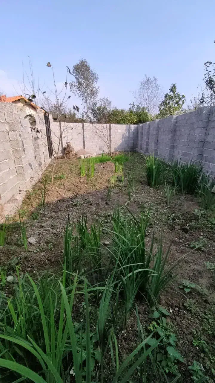 فروش ۸۵ متر زمین حوالی بلوار شهدای گمنام یخسازی|فروش زمین و ملک کلنگی|رشت, یخسازی|دیوار