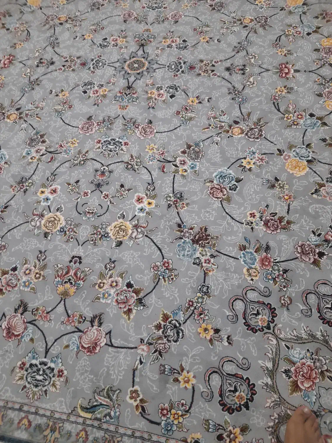 فرش ۱۲متری سالمه|فرش|ایجرود, |دیوار