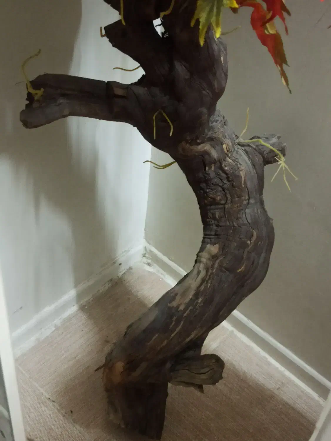 شش تا کناره|گل مصنوعی|زاهدان, |دیوار