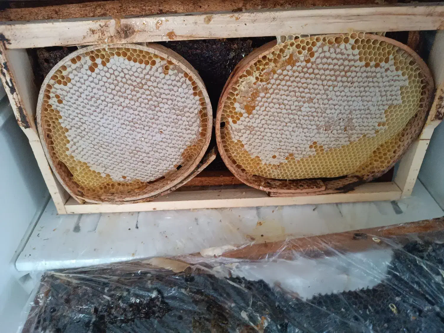 عسل طبیعی به زمانت آزمایشگاه|خوردنی و آشامیدنی|ربط, |دیوار