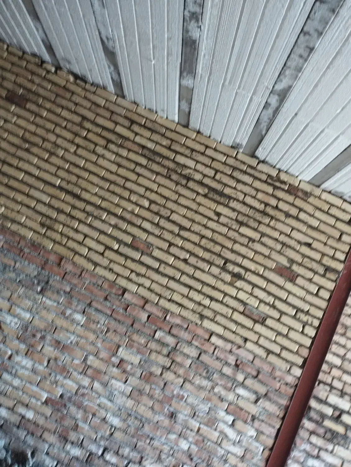 کاشی سرامیک وانجام  کارهای ساختمانی توافقی|خدمات پیشه و مهارت|نیشابور, بنیاد شهید|دیوار