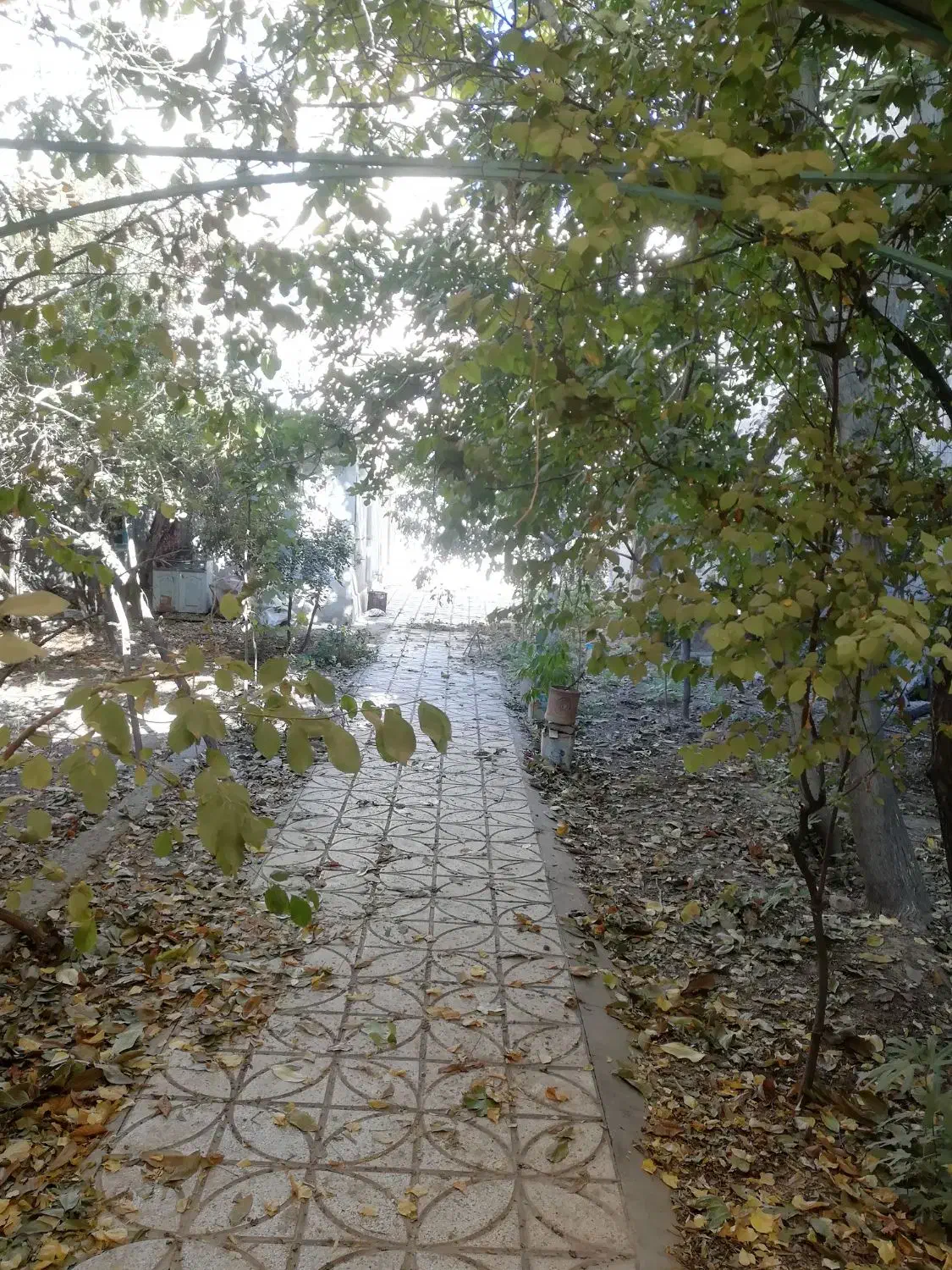 ویلایی دربست حیاط دار محدوده فرحبخش غربی|اجارهٔ خانه و ویلا|نیشابور, تختی|دیوار