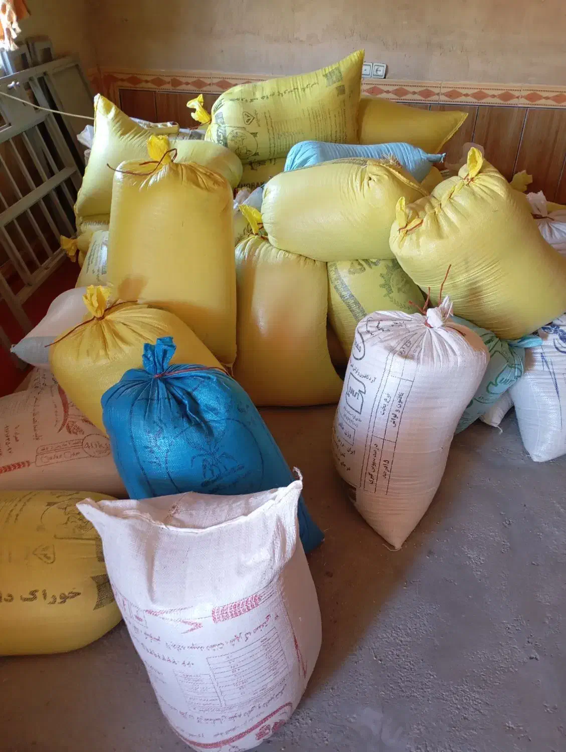 بذر گندم آبی|خدمات باغبانی و درختکاری|زاغه, |دیوار