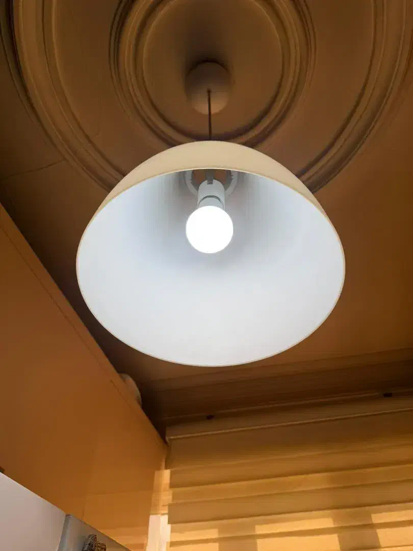 انواع لوستر|لوستر و چراغ آویز|تهران, هاشمی|دیوار