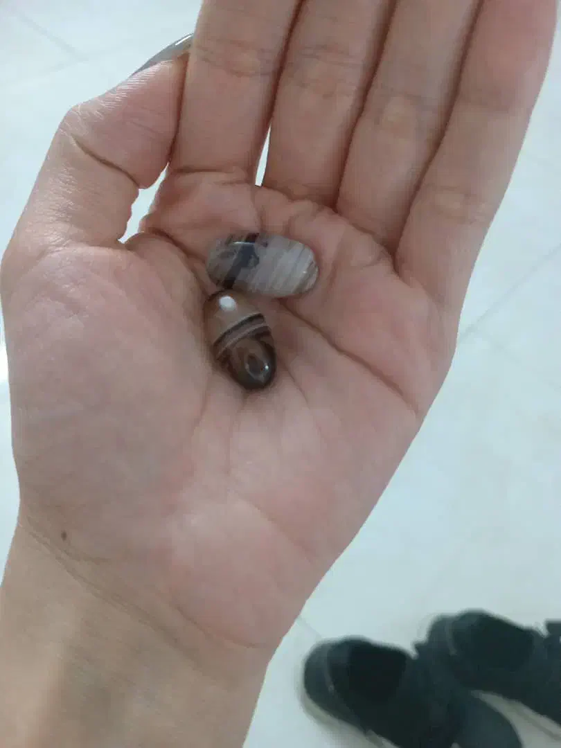 طالع بینی|خدمات پذیرایی، مراسم|بندر ماهشهر, |دیوار