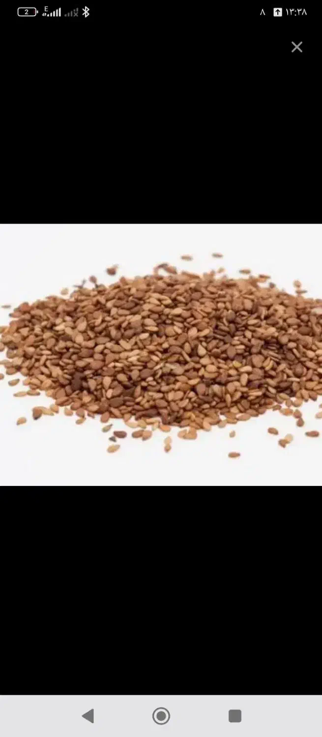 کنجد وتخم شربتی|خوردنی و آشامیدنی|تربت جام, جلگه موسی آباد|دیوار