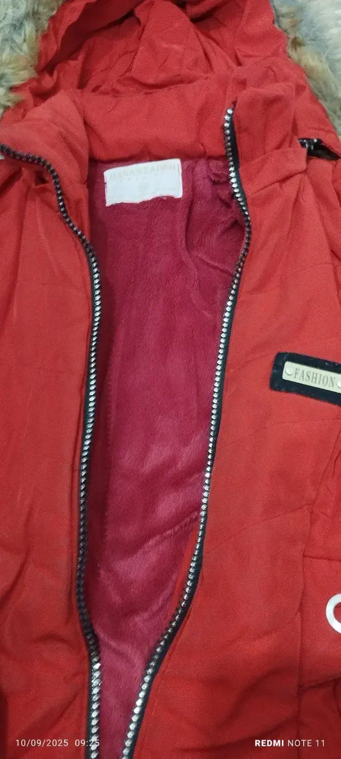 کاپشن دخترانه و زنانه|لباس|تویسرکان, |دیوار