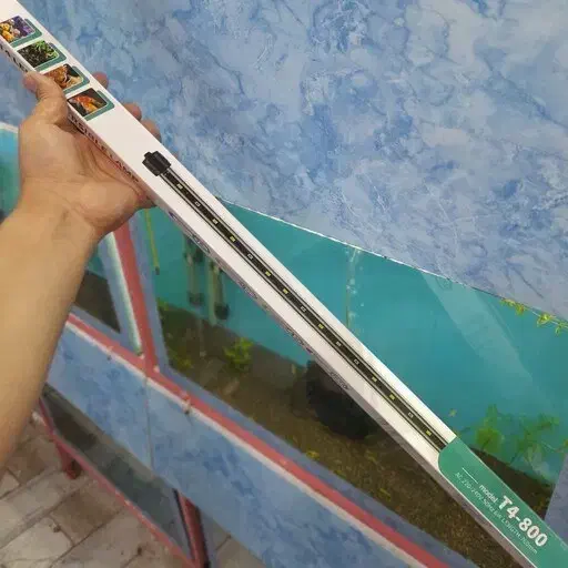 نور t4 اکواریوم|ماهی|شاهین‌شهر, خانه کارگر|دیوار