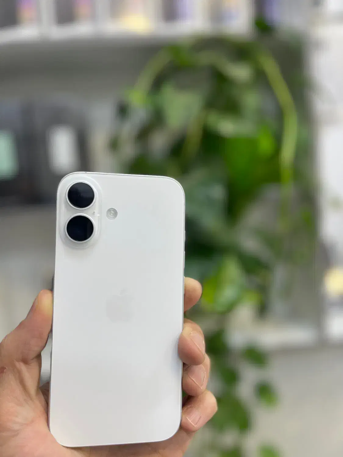 آیفون ۱۶ نرمال|موبایل|تبریز, |دیوار