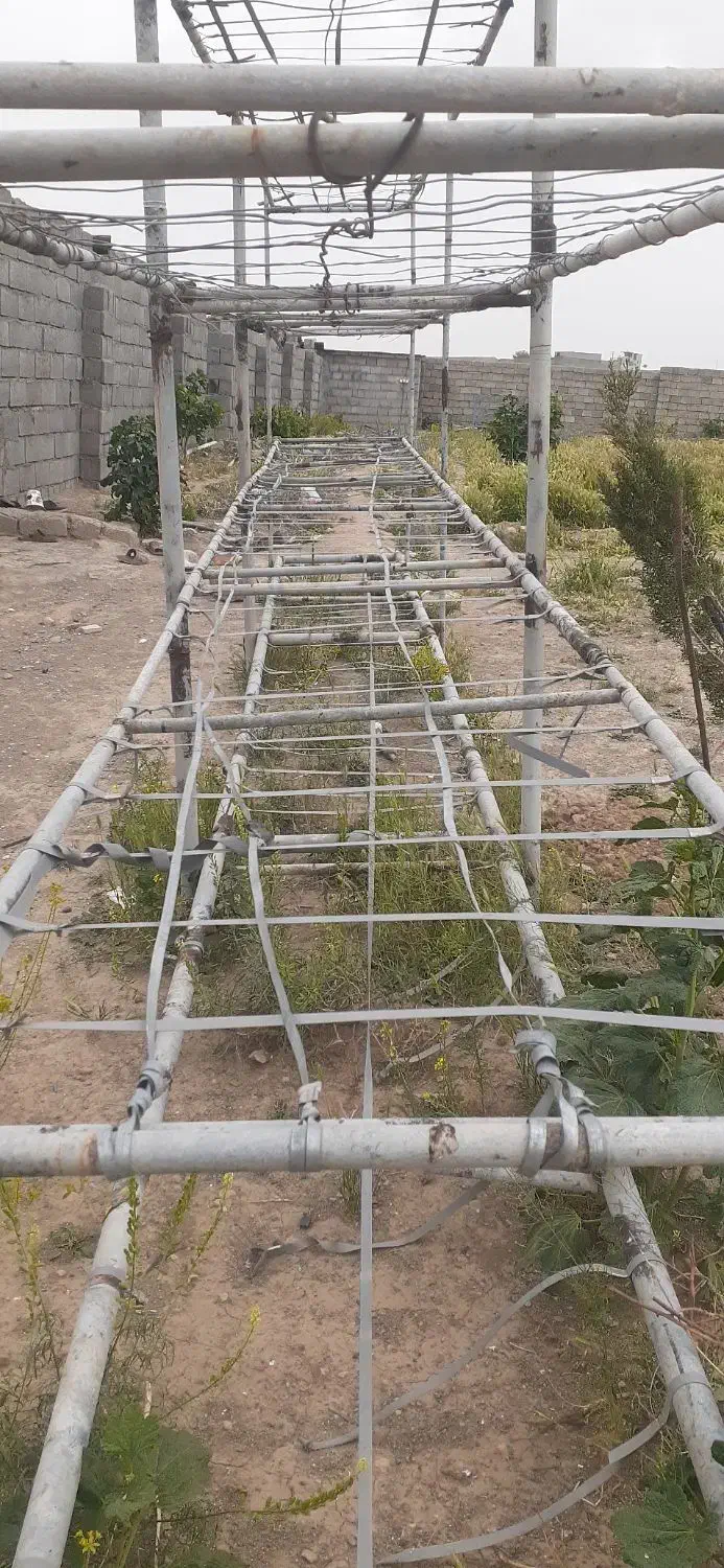 طبقات گانوانیزه تولید قارچ|ماشینآلات صنعتی|فولادشهر, B5|دیوار