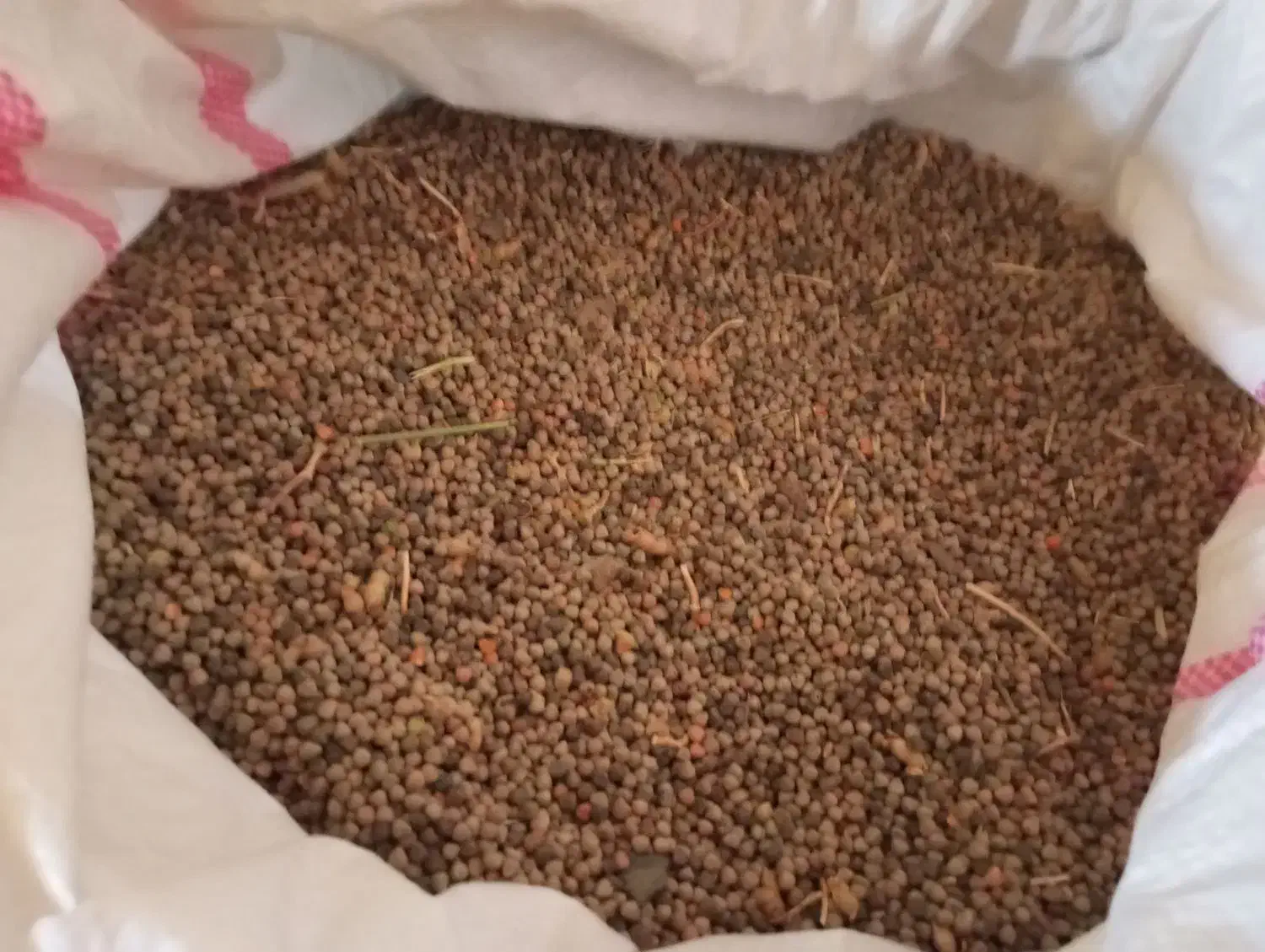 گاینه|حراج|باوله, |دیوار