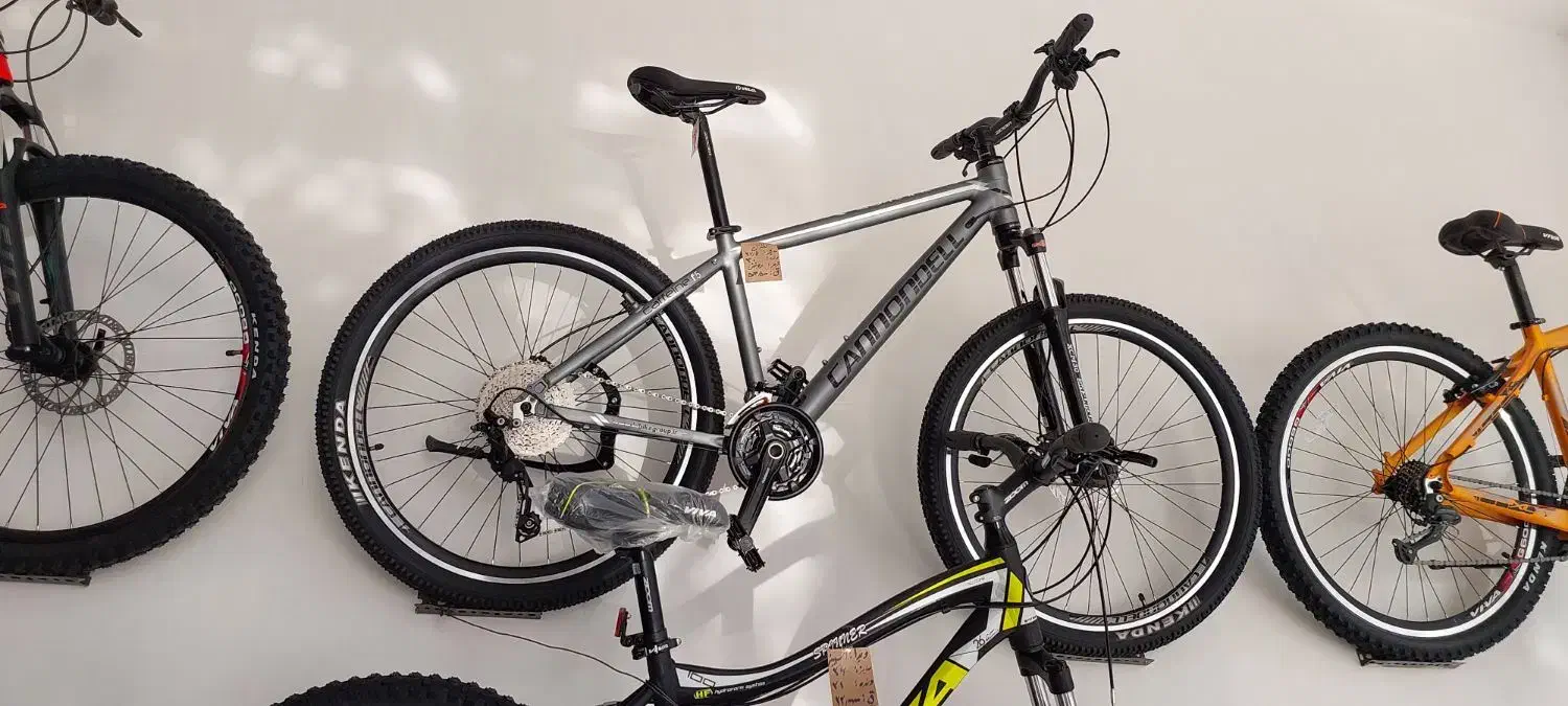 فروشگاه دوچرخه دماوند|دوچرخه، اسکیت، اسکوتر|بجنورد, |دیوار