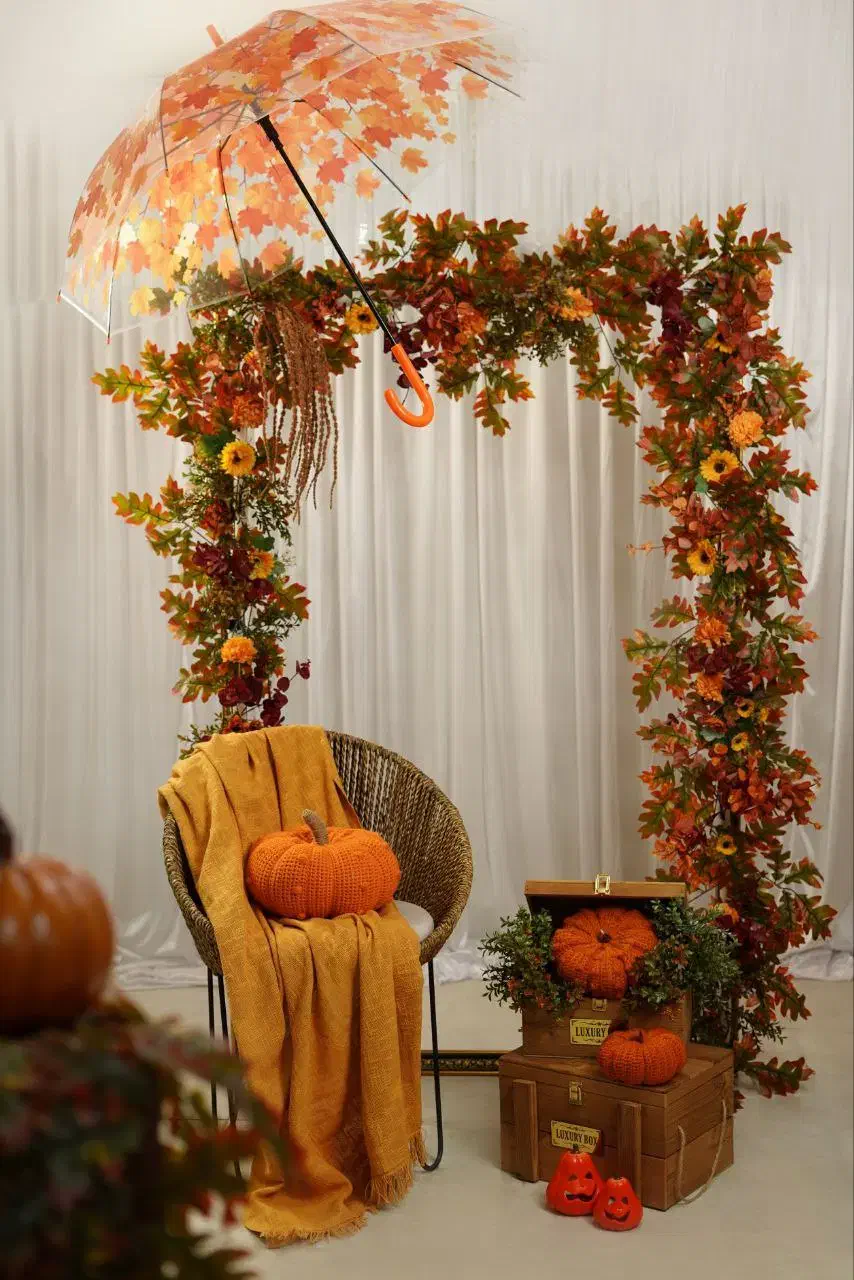 عکاسی پاییزی|خدمات پذیرایی، مراسم|اردبیل, |دیوار