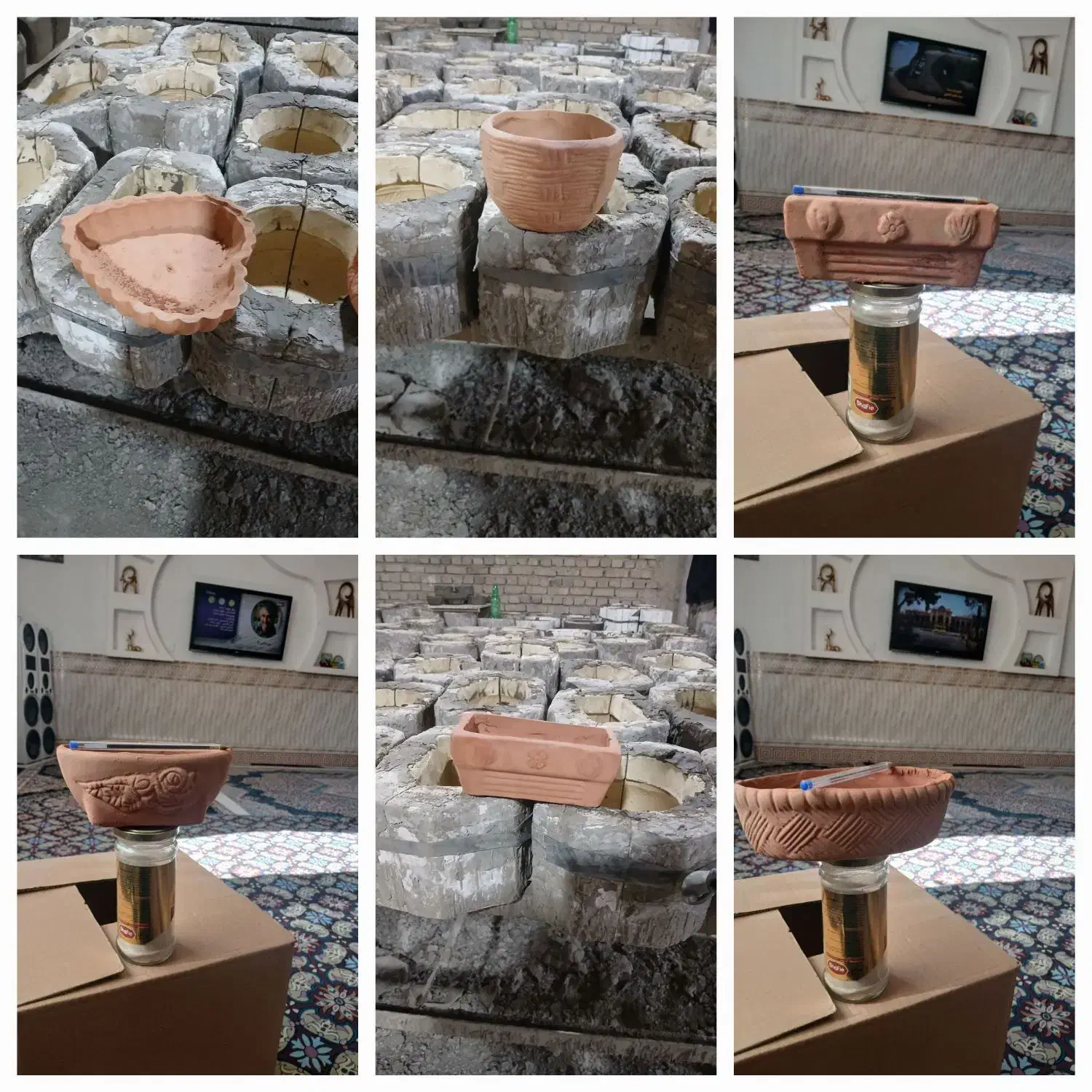 تولید جاسبزه|عمده‌فروشی|لالجین, |دیوار