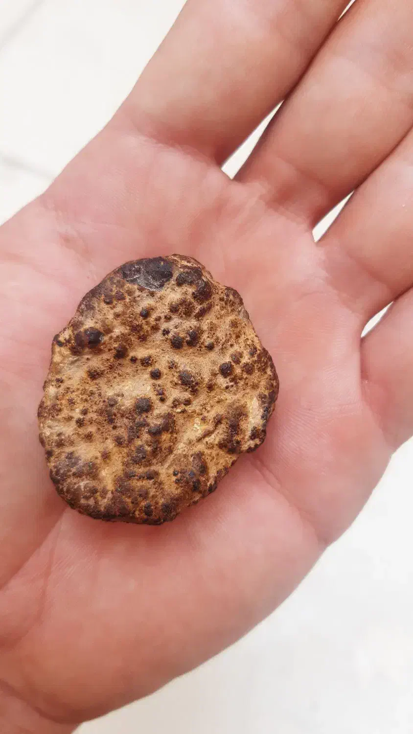 شهاب سنگ|کلکسیون اشیاء عتیقه|میمند, |دیوار