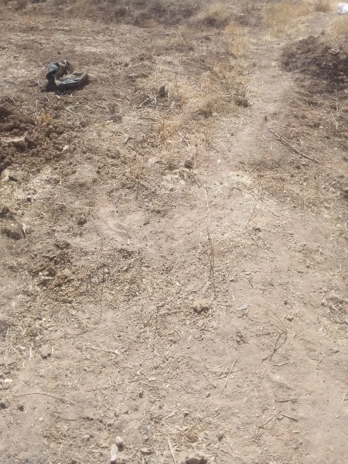 فروش زمین به مساحت ۴۰۰ متر|فروش زمین و ملک کلنگی|ایجرود, |دیوار