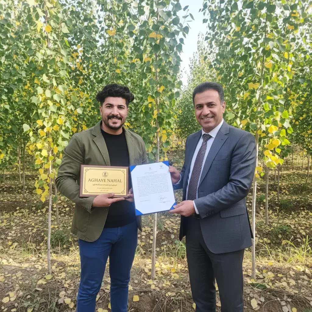 نـهال صنوبــر مقاوم به سرما  فروش ویژه زمستانی|خدمات باغبانی و درختکاری|اصفهان, سیچان|دیوار